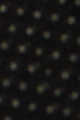 أسود