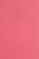 373 Rose Celestial
