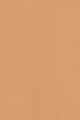 Medium With Warm Undertones