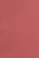 422 Rose des Vents