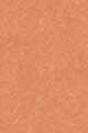 17W Medium - Peach warm undertones