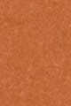 25W Medium - Yellow warm undertones