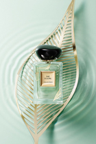 عطر تي يولونغ جولد ليفز