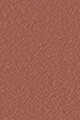 107 - Cosy Taupe (Burnt Caramel Nude)