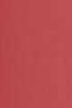 541 Natural Sienna