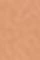 3N42 Amber