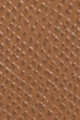 Dark Beige I