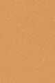 2W2 BUTTERSCOTCH