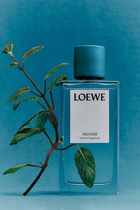 بخاخ معطر للغرف ايفي