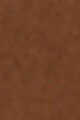6C1 Cacao