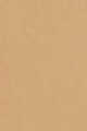 270N Neutral Fair Medium