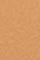 3Y40 - Warm Amber