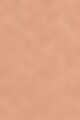 2Y20 - Warm Nude