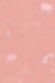 04 Rose Papillon