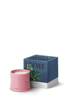 شمعة آيفي معطرة