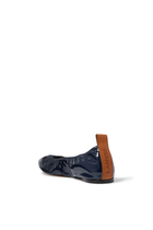 The Ballerina Flats