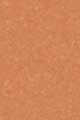 19W Medium - Yellow warm undertones