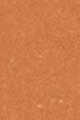 21W Medium - Golden warm undertones