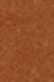 34W Deep - Golden warm undertones
