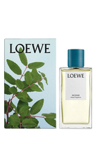 بخاخ معطر للغرف ايفي