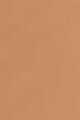 Medium To Tan With Warm Undertones