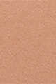 B40 - Warm Pecan