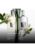 عطر جراي فيتيفر بخاخ
