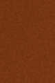 6W1 سبايس