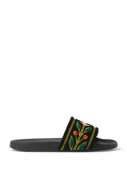 Laurel Terry Slides