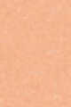 5N Light - Peach neutral undertones