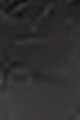 أسود