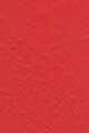 340 - CRUSH SINCE FOREVER (Deep Pink Coral)
