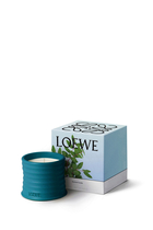 Small Incense Scented Candle