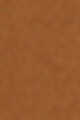 5C1 Nutmeg