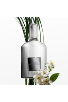 عطر جراي فيتيفر بخاخ