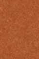 29W Medium Deep - Bronze warm undertones