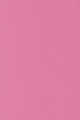 66 - Fuschia Fling