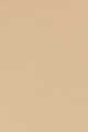 2N1 Desert Beige