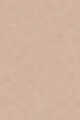 2C1 Pure Beige light-medium with cool pink-p