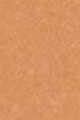 18N Medium - Olive neutral undertones