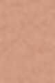 1C0 سيلك