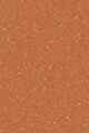 24N- MEDIUM