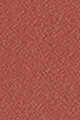 320 - Nude Terracota