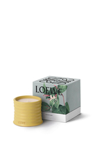 شمعة هاني ساكل معطرة