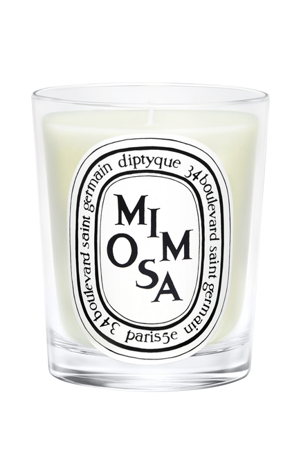 شمعة معطرة ميموزا