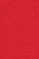 438 - Steady Red Poppy