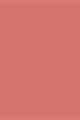 304 BEIGE INSTINCT