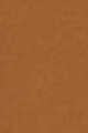 420N Neutral Medium Deep
