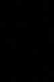 أسود
