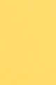 22 Jaune Pollen